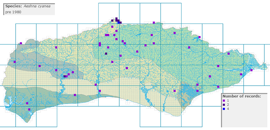 Aeshna cyanea distribution pre 1980