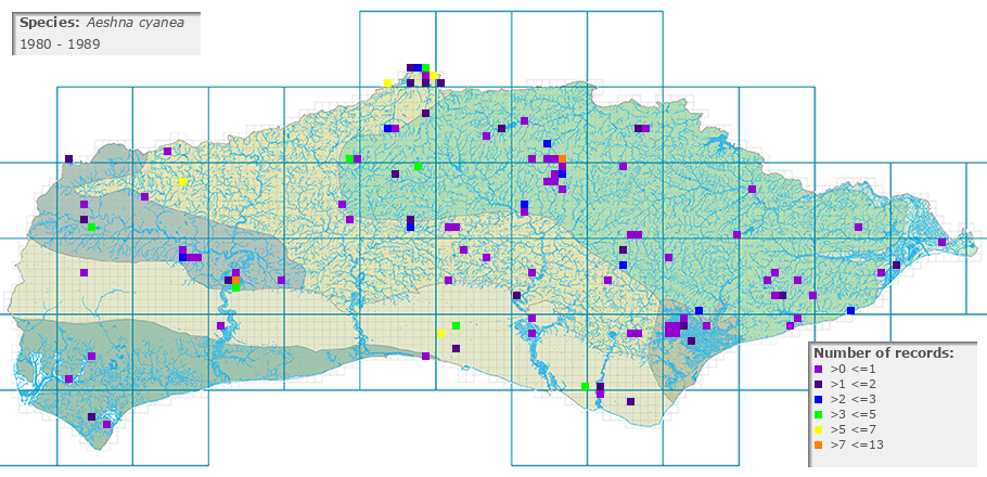 Aeshna cyanea distribution 1980 - 1989
