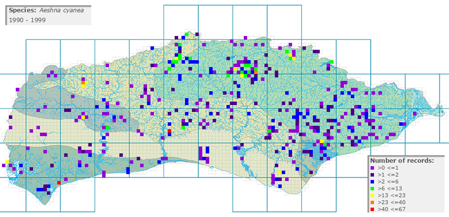 Aeshna cyanea distribution 1990 - 1999
