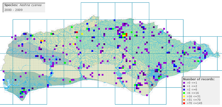 Aeshna cyanea distribution 2000 - 2009