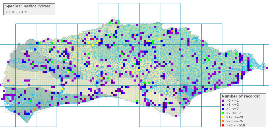 Aeshna cyanea distribution 2010 - 2019