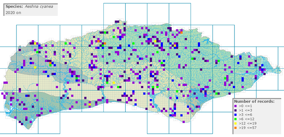 Aeshna cyanea distribution 2010 on
