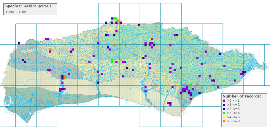 Aeshna grandis distribution 1980 - 1989