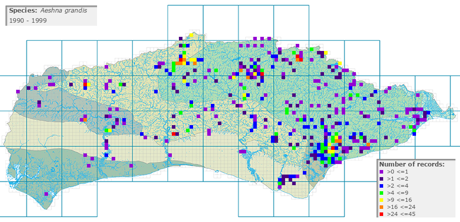 Aeshna grandis distribution 1990 - 1999