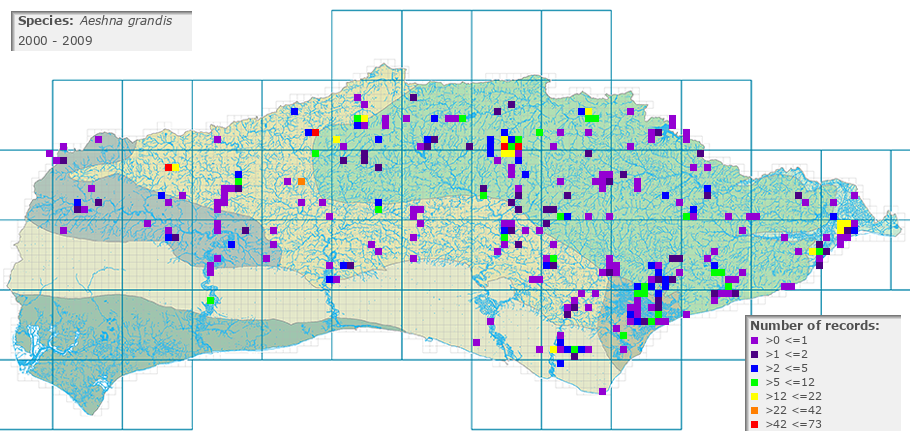 Aeshna grandis distribution 2000 - 2009