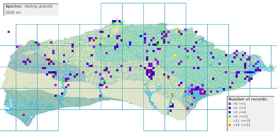 Aeshna grandis distribution 2010 on