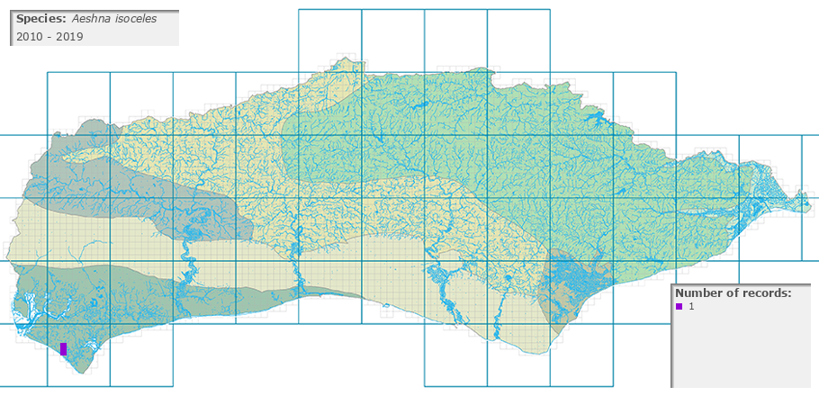 Aeshna isoceles distribution 2010 - 2019