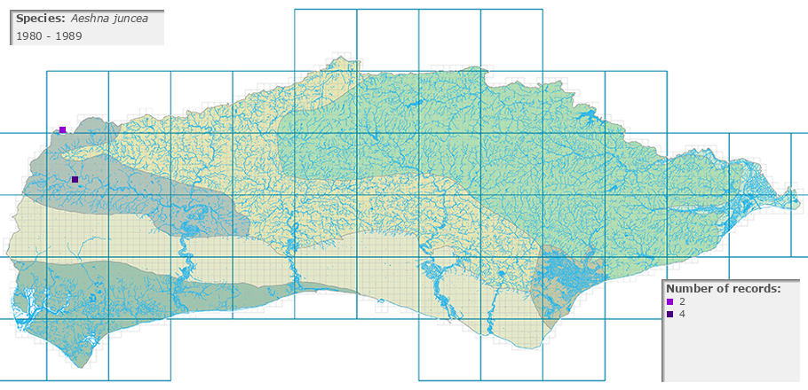 Aeshna juncea distribution 1980 - 1989