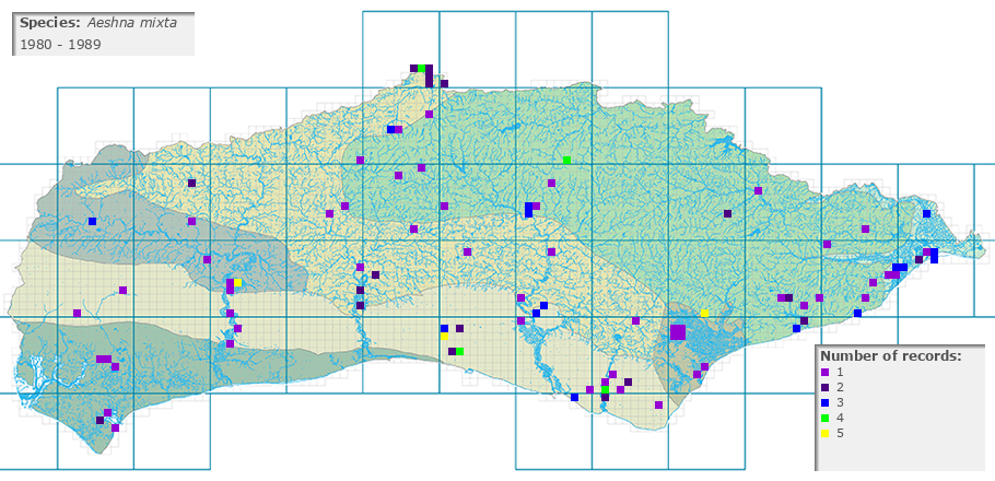 Aeshna mixta distribution 1980 - 1989