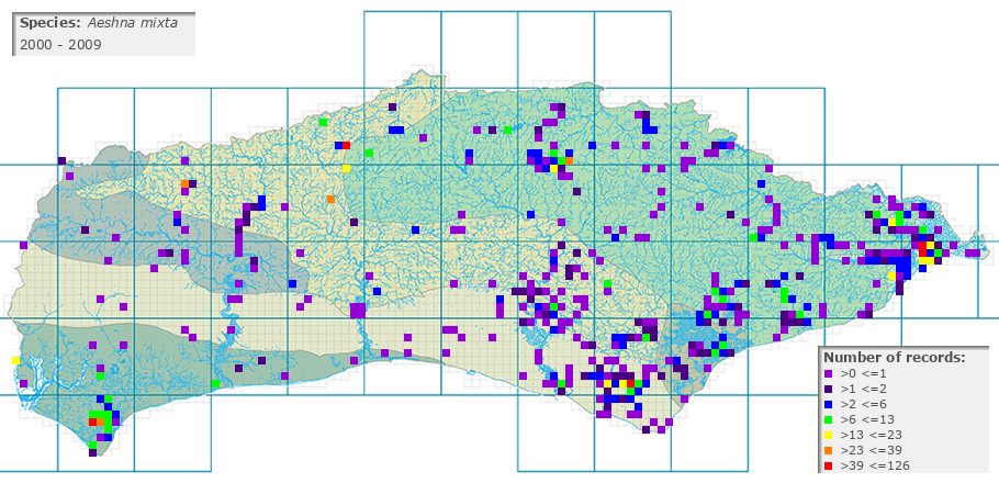Aeshna mixta distribution 2000 - 2009