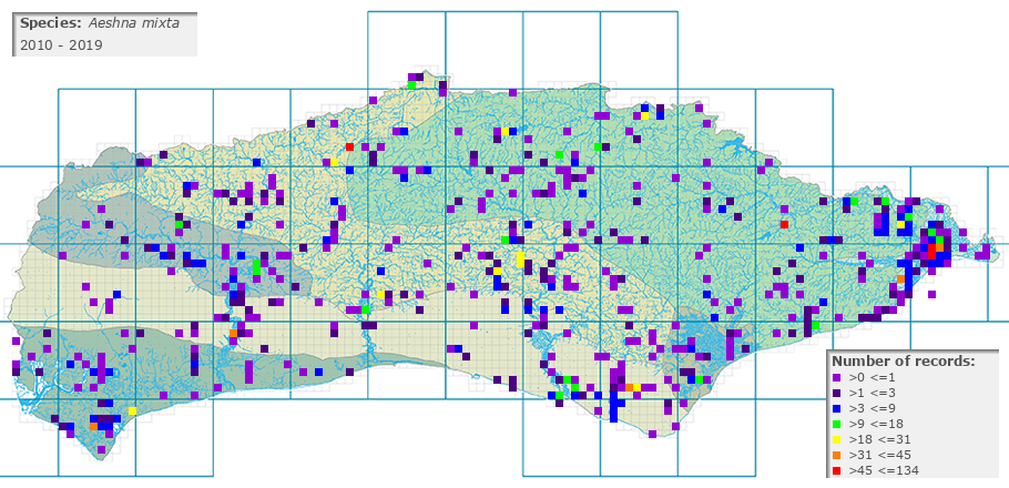 Aeshna mixta distribution 2010 - 2019