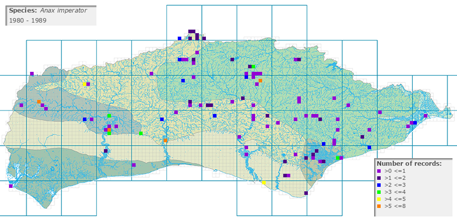 Anax imperator distribution 1980 - 1989
