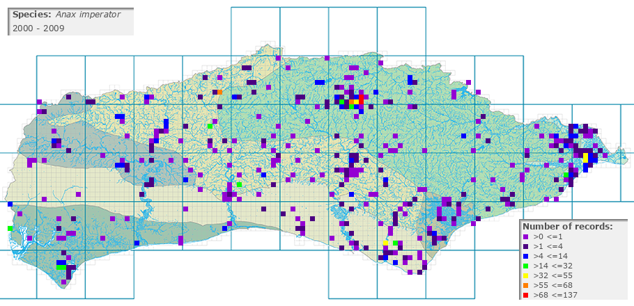 Anax imperator distribution 2000 - 2009