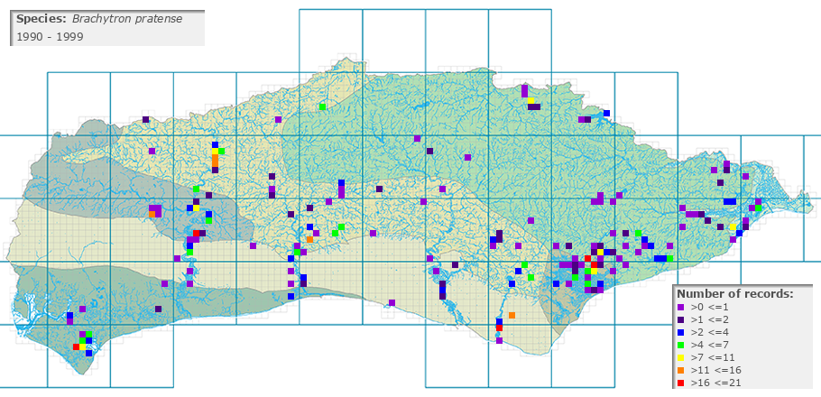 Brachytron pratense distribution 1990 - 1999