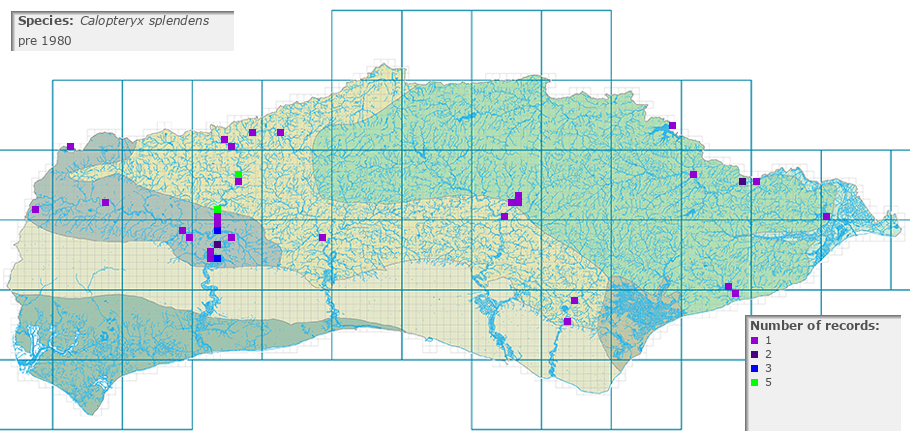 Calopteryx splendens distribution pre 1980