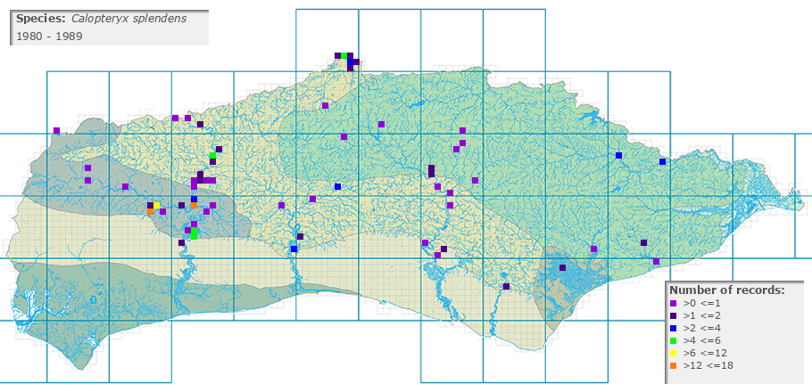 Calopteryx splendens distribution 1980 - 1989