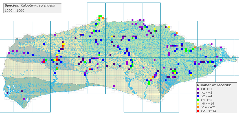 Calopteryx splendens distribution 1990 - 1999