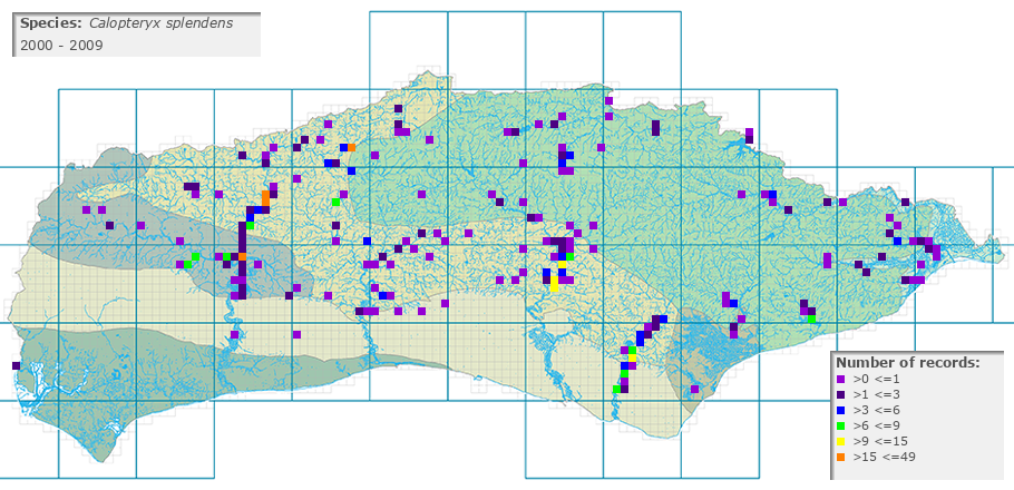 Calopteryx splendens distribution 2000 - 2009