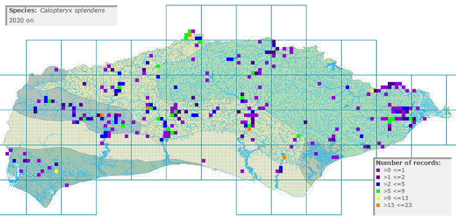 Calopteryx splendens distribution 2010 on