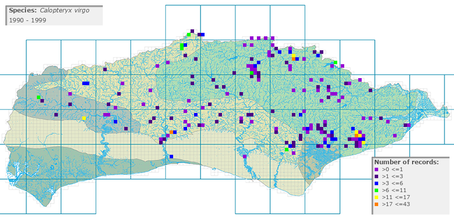 Calopteryx virgo distribution 1990 - 1999