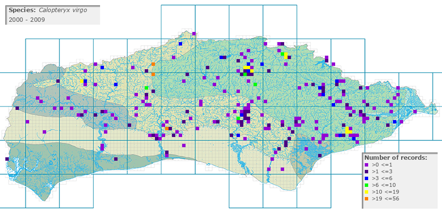 Calopteryx virgo distribution 2000 - 2009