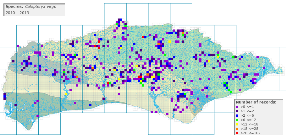 Calopteryx virgo distribution 2010 - 2019