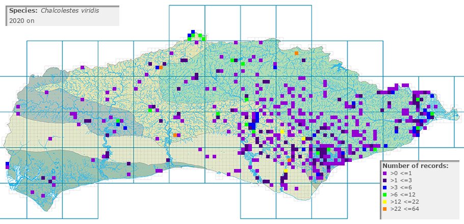 Chalcolestes viridis distribution 2010 on