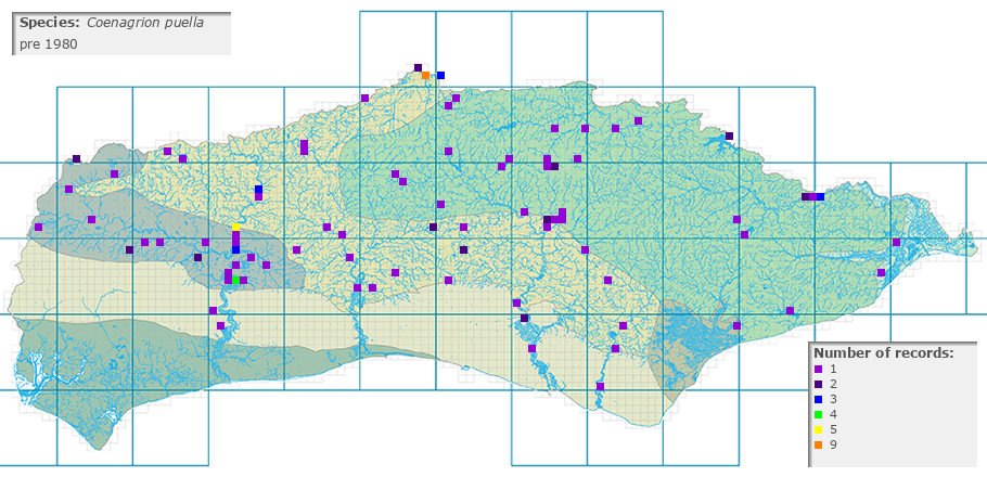 Coenagrion puella distribution pre 1980