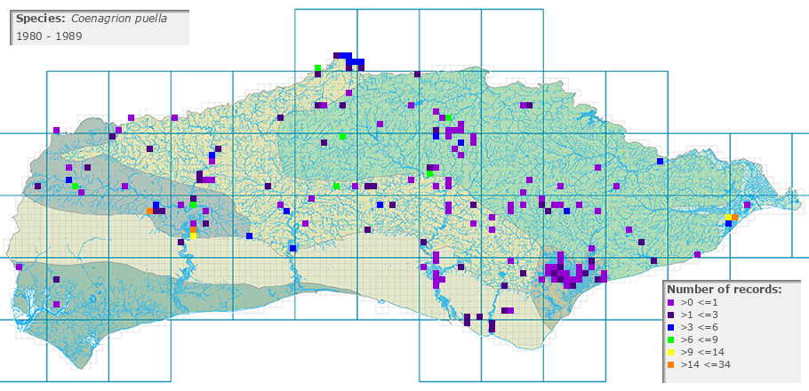Coenagrion puella distribution 1980 - 1989
