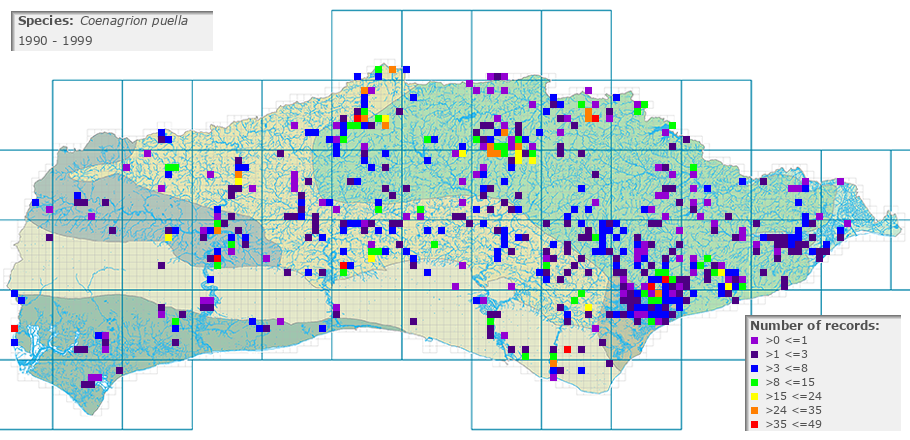 Coenagrion puella distribution 1990 - 1999