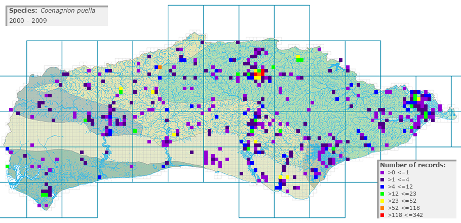 Coenagrion puella distribution 2000 - 2009