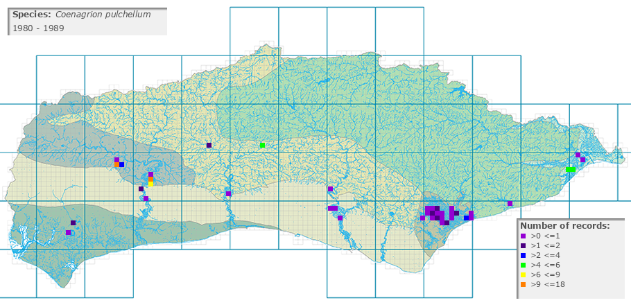 Coenagrion pulchellum distribution 1980 - 1989