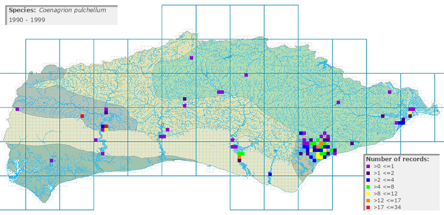 Coenagrion pulchellum distribution 1990 - 1999