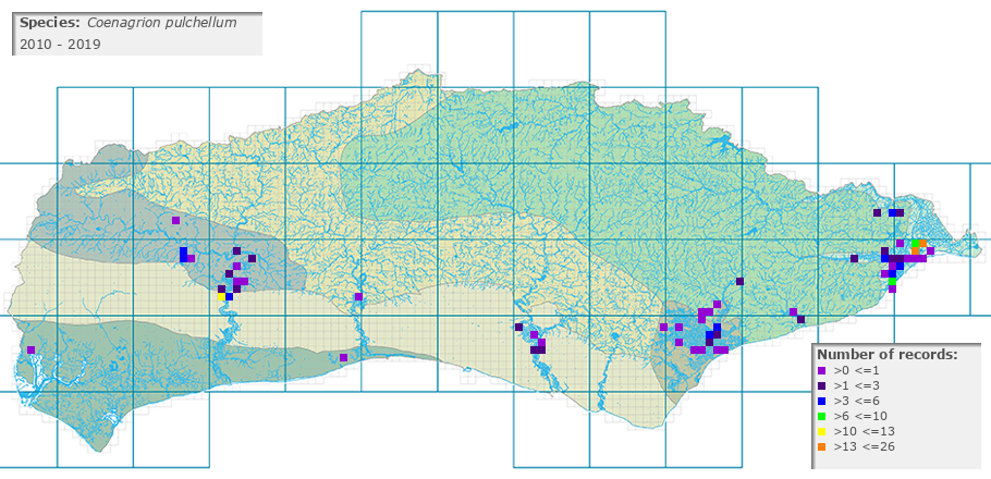Coenagrion pulchellum distribution 2010 - 2019