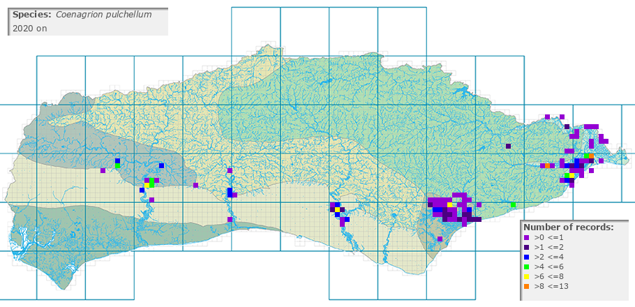 Coenagrion pulchellum distribution 2010 on