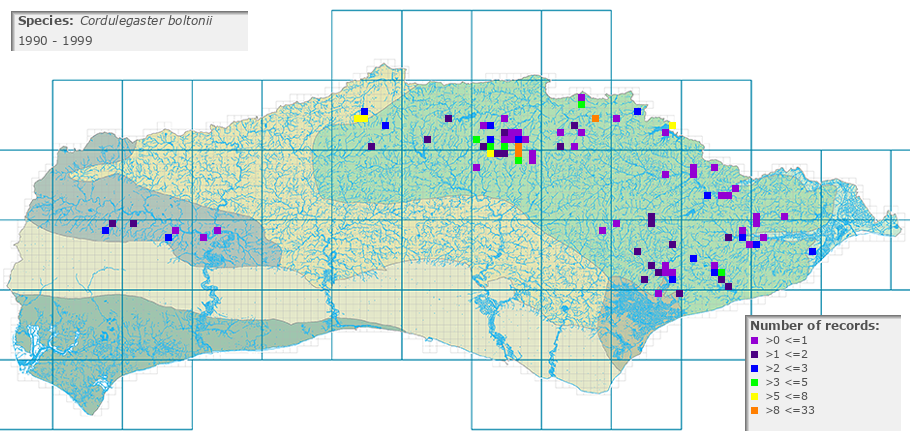 Cordulegaster boltonii distribution 1990 - 1999