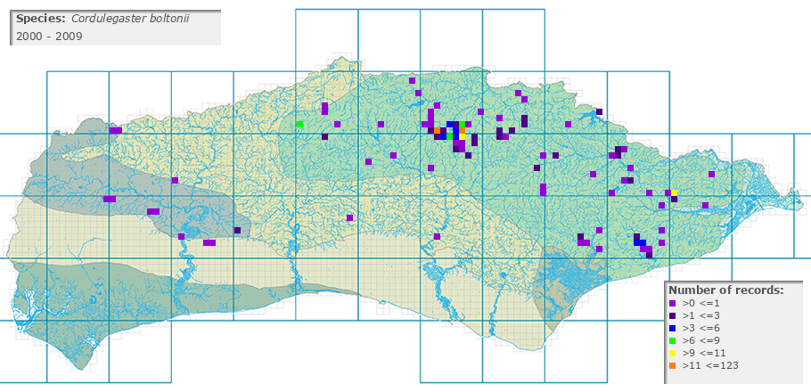 Cordulegaster boltonii distribution 2000 - 2009