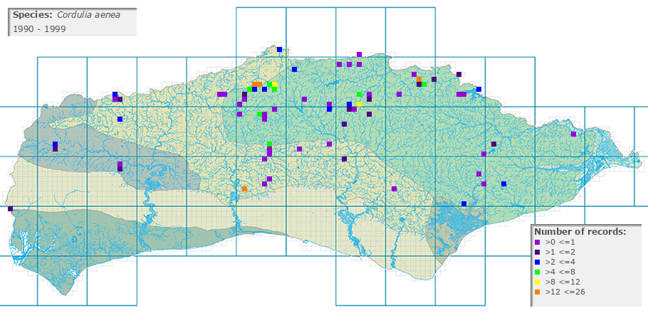 Cordulia aenea distribution 1990 - 1999