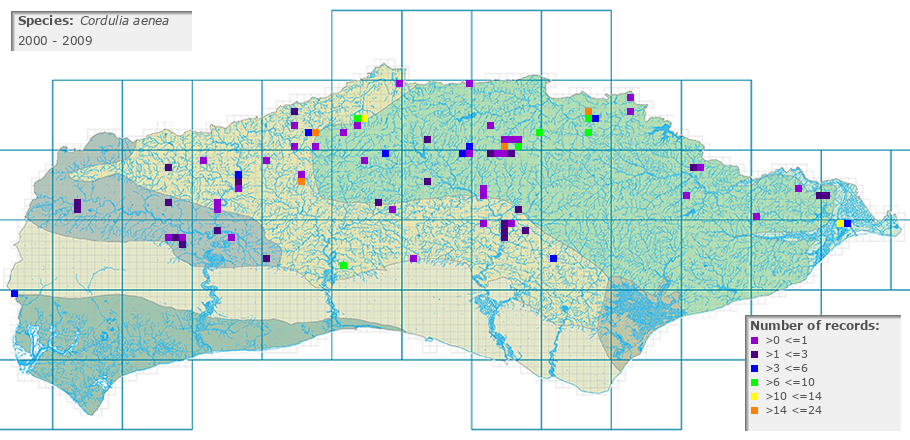Cordulia aenea distribution 2000 - 2009