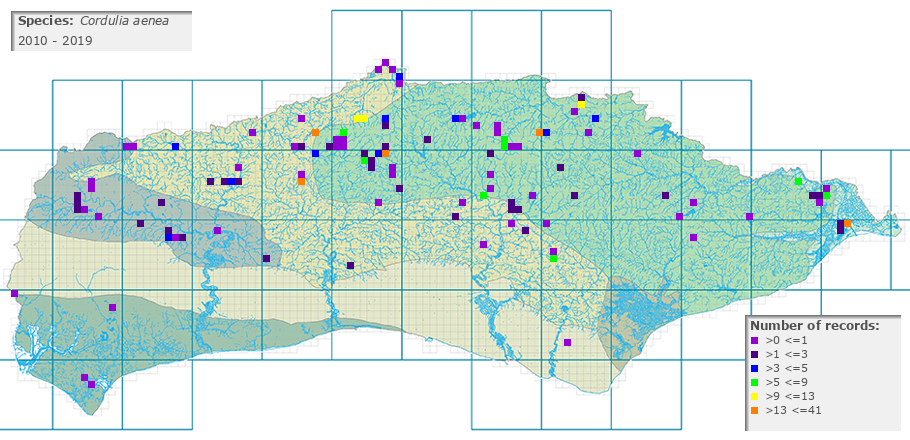 Cordulia aenea distribution 2010 - 2019
