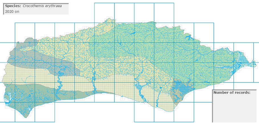 Crocothemis erythraea distribution 2010 on