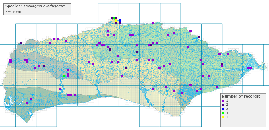 Enallagma cyathigerum distribution pre 1980