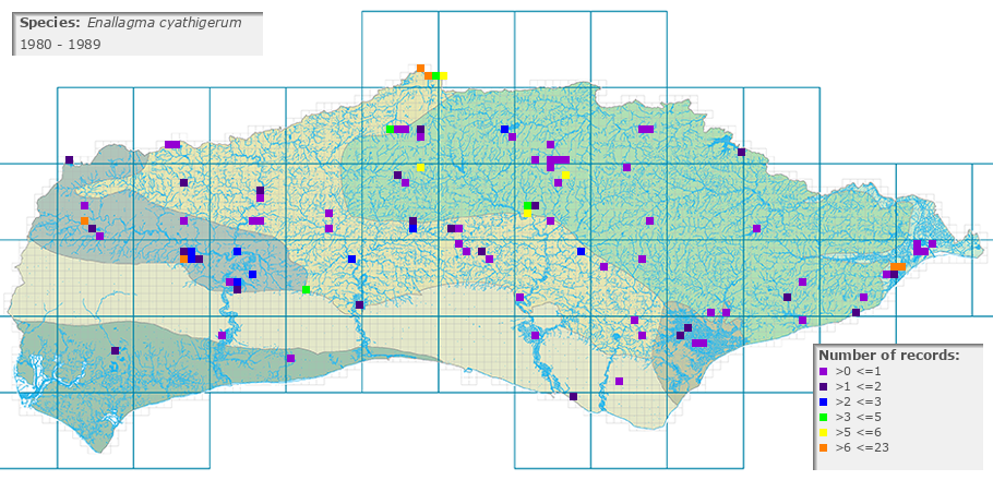 Enallagma cyathigerum distribution 1980 - 1989