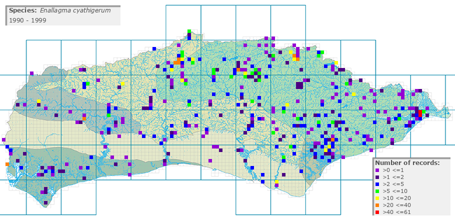 Enallagma cyathigerum distribution 1990 - 1999
