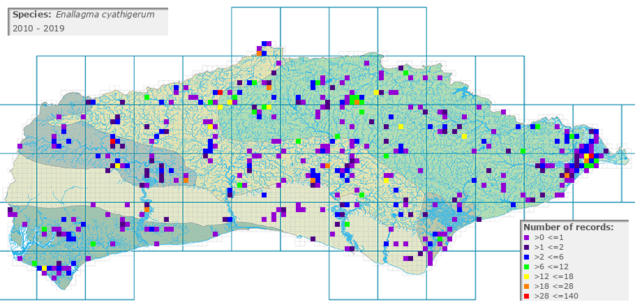 Enallagma cyathigerum distribution 2010 - 2019