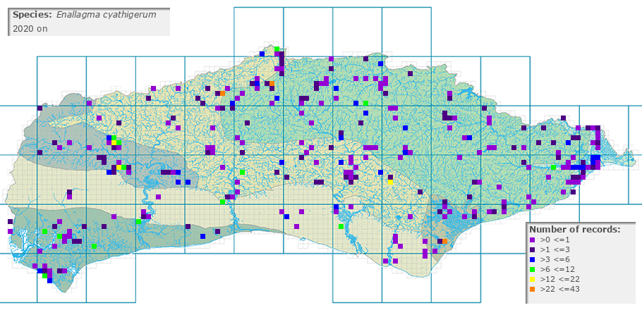 Enallagma cyathigerum distribution 2010 on