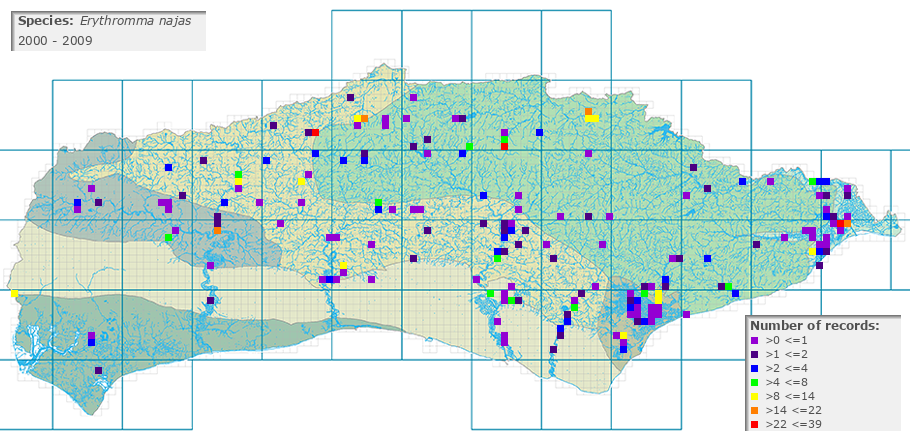 Erythromma najas distribution 2000 - 2009