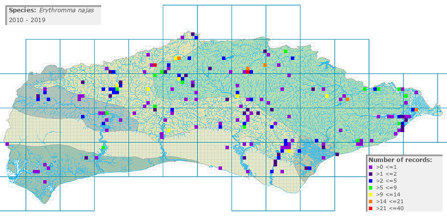 Erythromma najas distribution 2010 - 2019