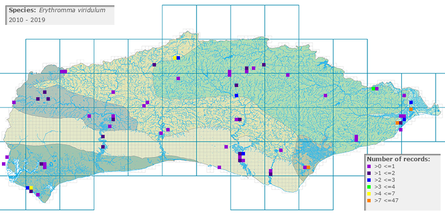 Erythromma viridulum distribution 2010 - 2019