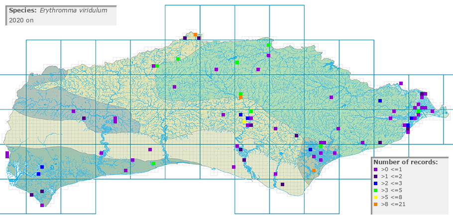 Erythromma viridulum distribution 2010 on